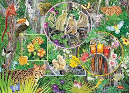 Image de Rainforest magic 🐶