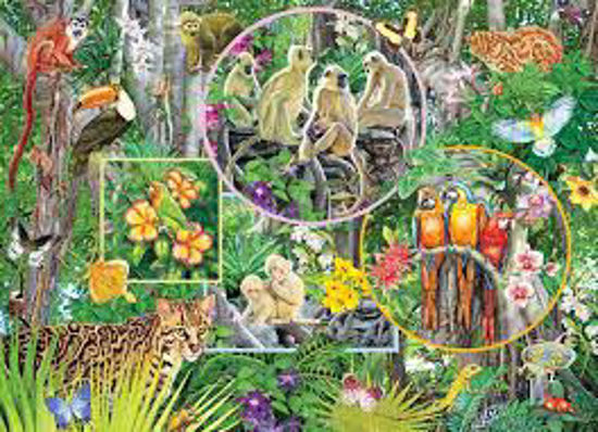 Image sur Rainforest magic 🐶