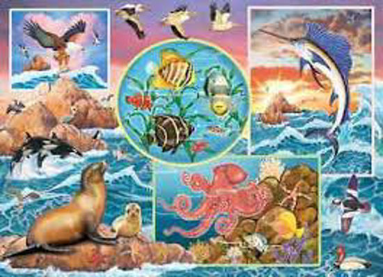 Image sur Ocean magic 🐶