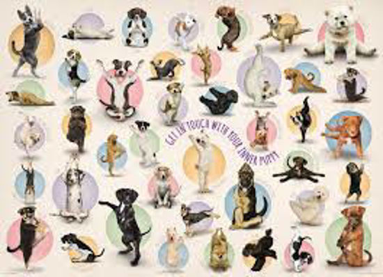 Image sur Yoga puppies