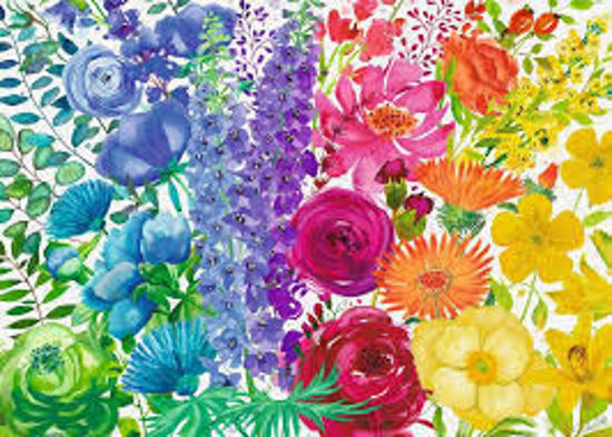 Image sur Arc-en-ciel floral 🐶