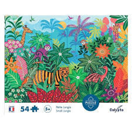 Image sur Petite jungle 🐶
