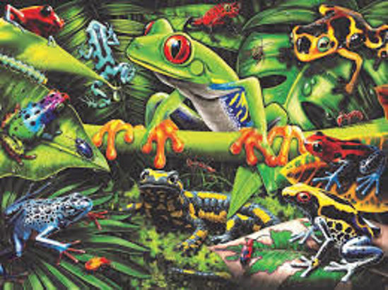 Image sur D’étonnants amphibiens  🐶
