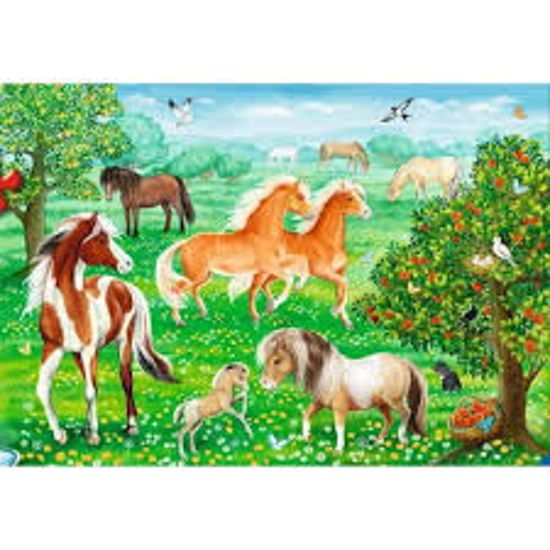 Image sur Chevaux au pré 🐶