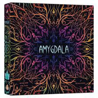 Image de Amygdala