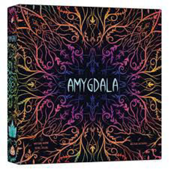 Image sur Amygdala