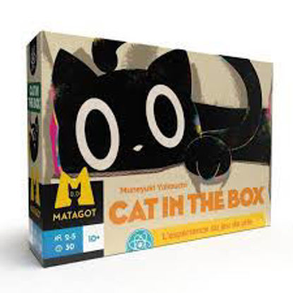 Image de Cat in the box 🐶