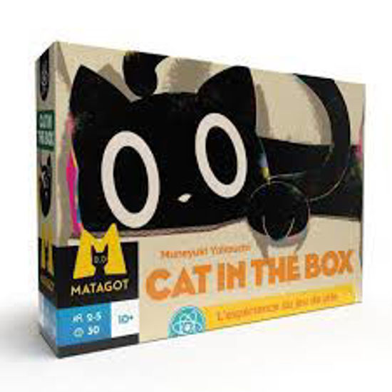 Image sur Cat in the box 🐶