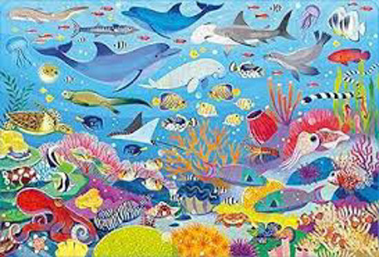Image sur Coral reef 🐶