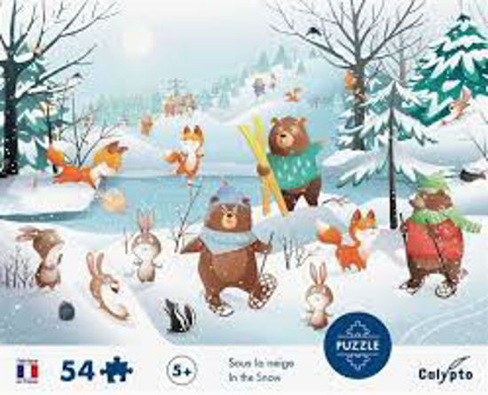 Image sur Sous la neige 🐶