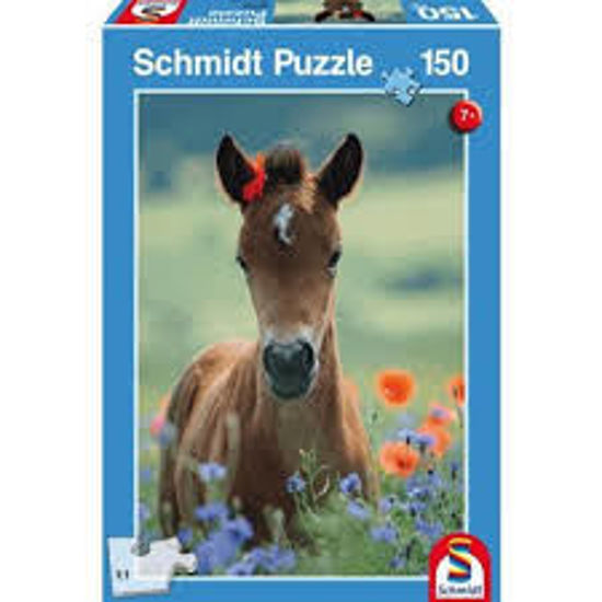 Image sur Cheval avec ruban rouge 🐶