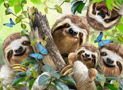 Image de Sloth selfie 🐶