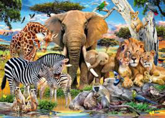 Image sur Baby love 🐶