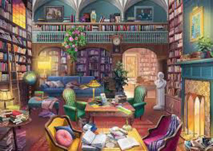 Image de Bibliothèque de rêve  🐶