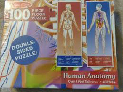 Image de Human anatomy 🐶