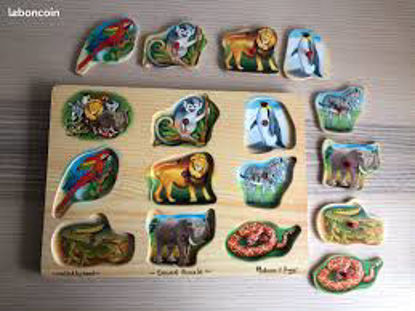 Image de 8 animaux de zoo