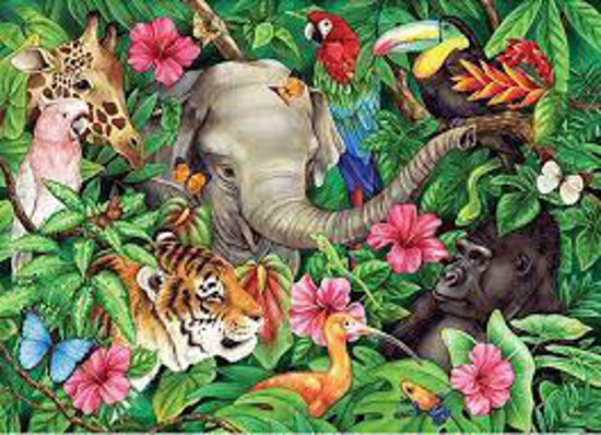 Image sur Amis des tropiques