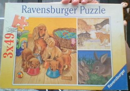 Image de Le repas des animaux 🐶
