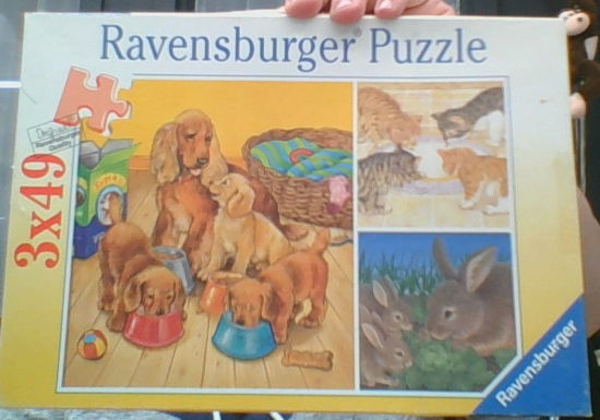 Image sur Le repas des animaux 🐶