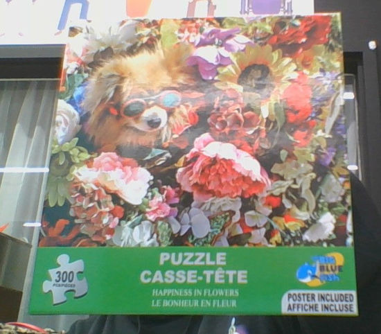 Image sur Chien avec lunette de soleil dans les fleurs