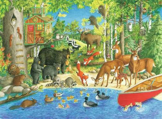 Image sur Amis de la forêt